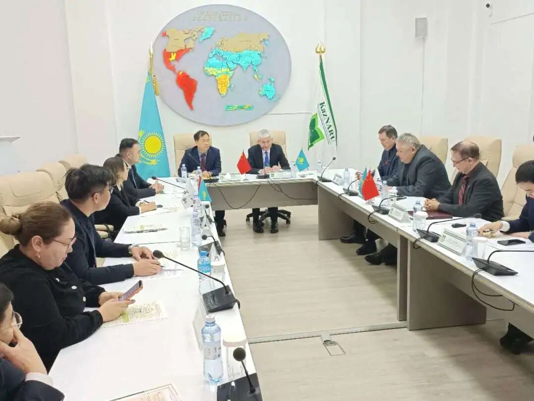 精準對接中亞資源，聚力深耕產業協同 | 中 ...